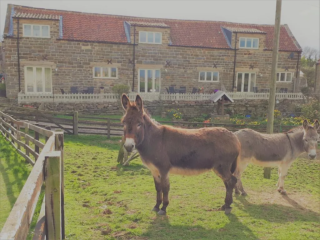 Feriehus Meadowbeck Holiday Cottages Whitby Storbritannien