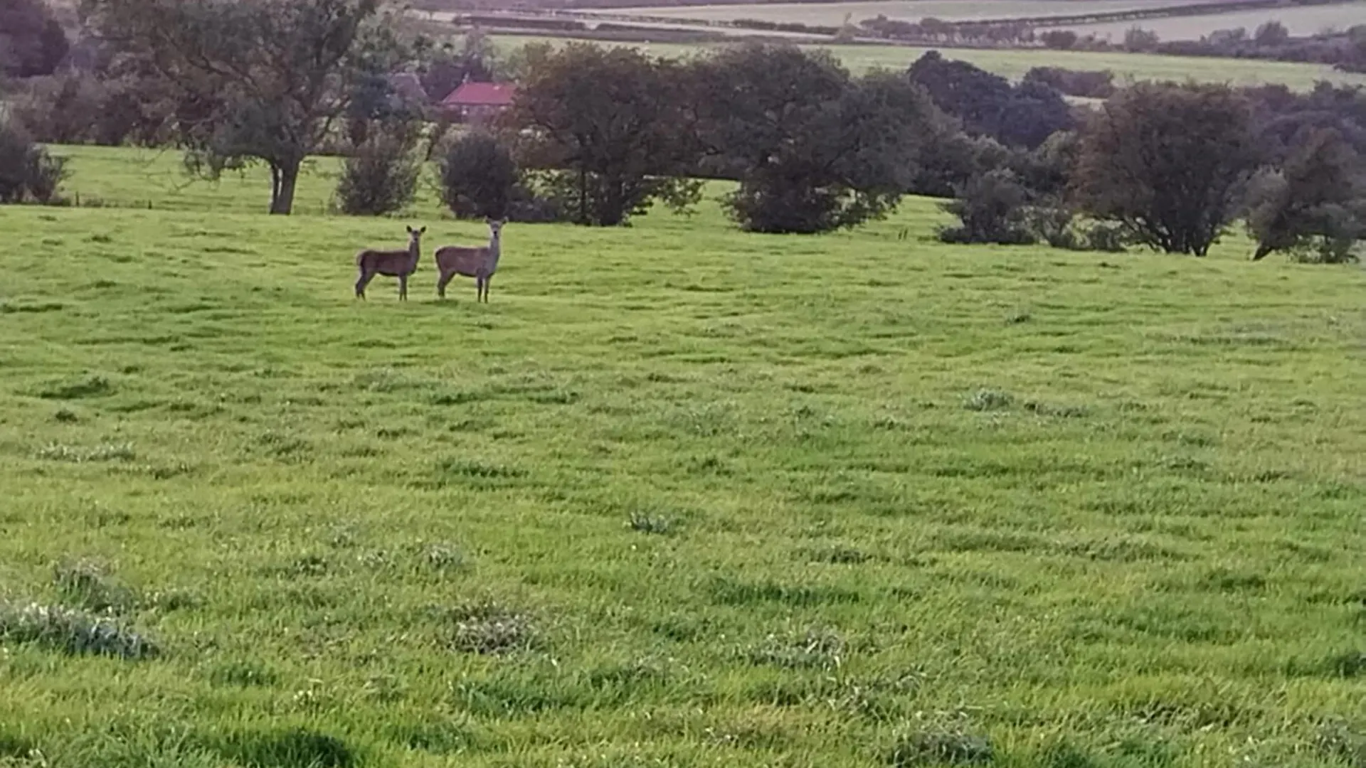 بيت للعطل Meadowbeck Holiday Cottages ويتبي